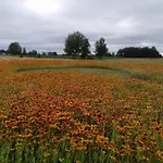 Gospodarstwo agroturystyczne Sosenka *