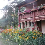 Sosenka * Zalas
