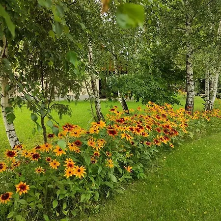 Farm stay Sosenka Zalas