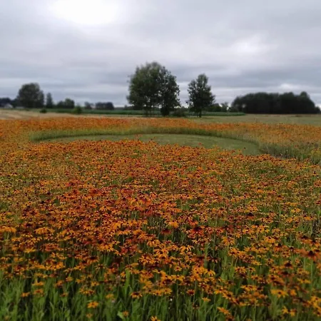Alloggio per agriturismo Sosenka *