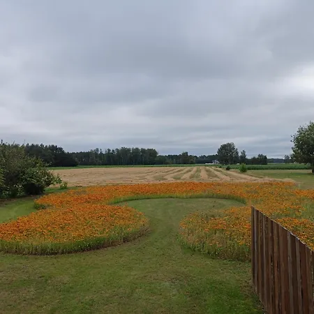 Sosenka