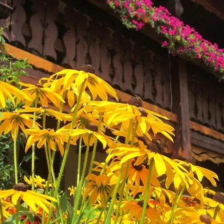 Alloggio per agriturismo Sosenka Zalas