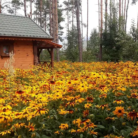 Alloggio per agriturismo Sosenka