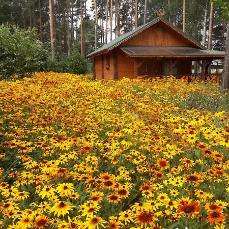 Alloggio per agriturismo Sosenka